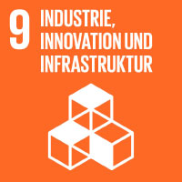 SDG 1